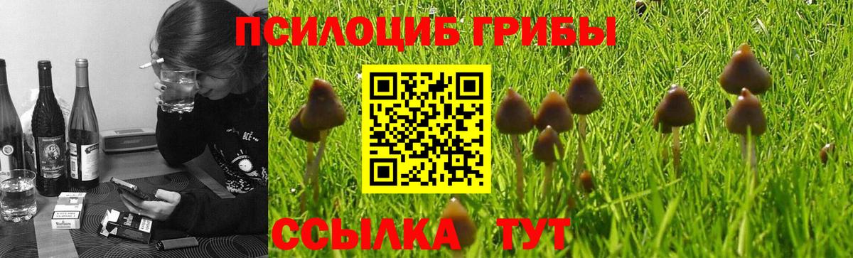 Галлюциногенные грибы ЛСД  Вход с VPN  Псилоцибиновые грибы MAGIC MUSHROOMS  продажа наркотиков  Иркутск 